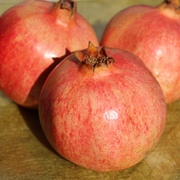 Granatapfel Granatapfel